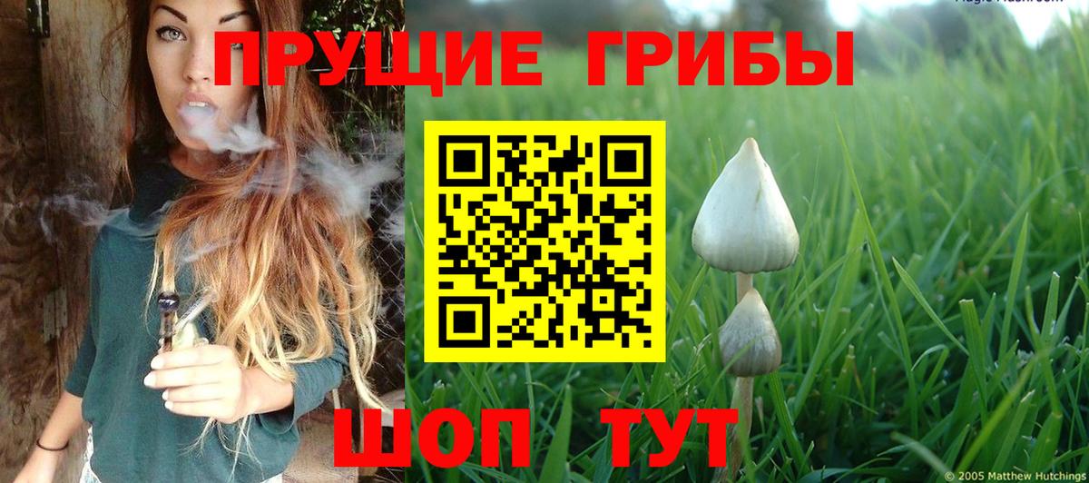 Псилоцибиновые грибы прущие грибы  Вход с VPN  Тамбов 